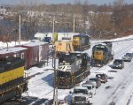 Three in the snow